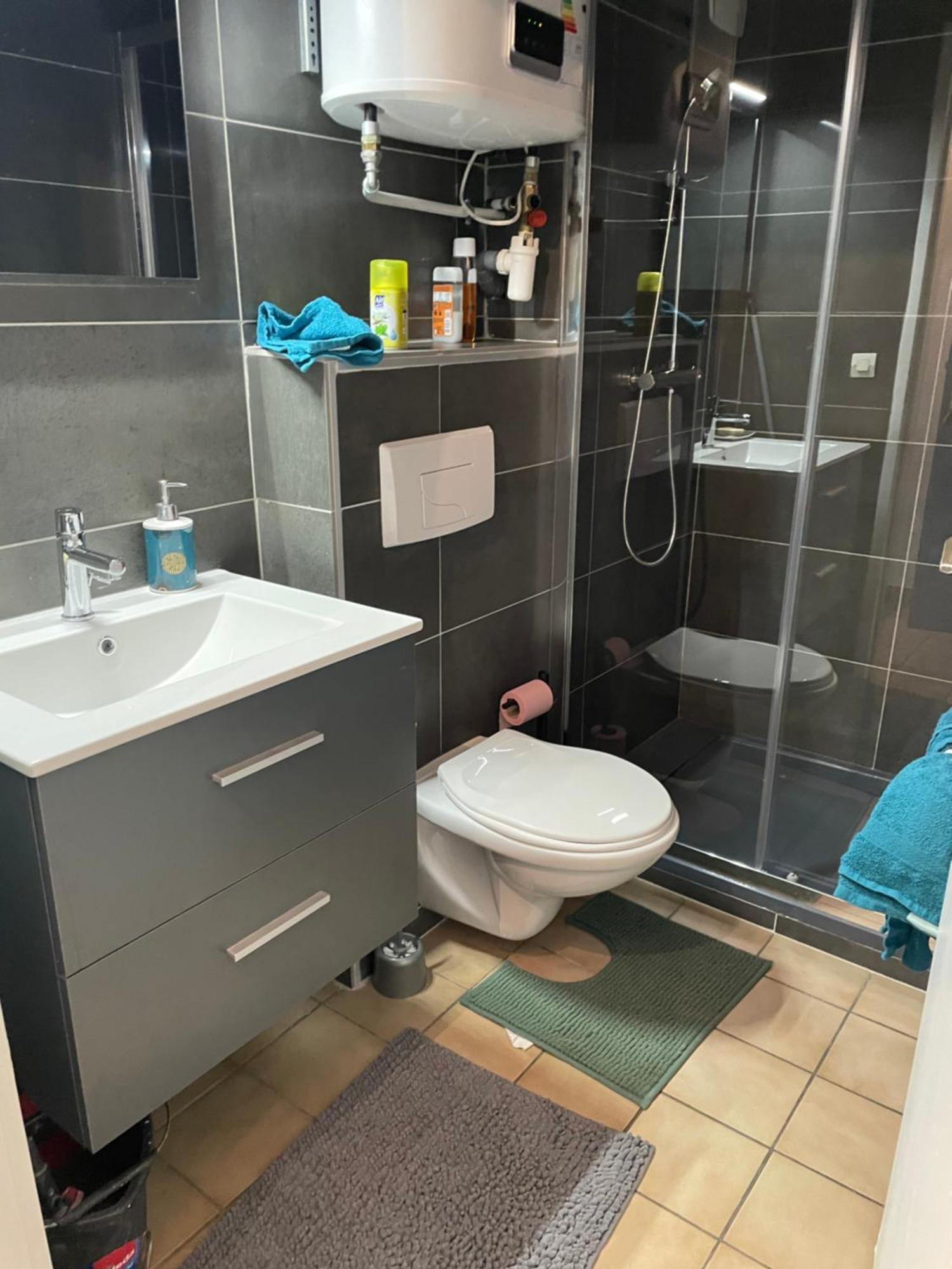 Appartement Duplex T1 アルベールヴィル エクステリア 写真