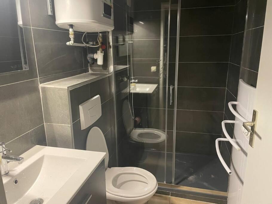 Appartement Duplex T1 アルベールヴィル エクステリア 写真