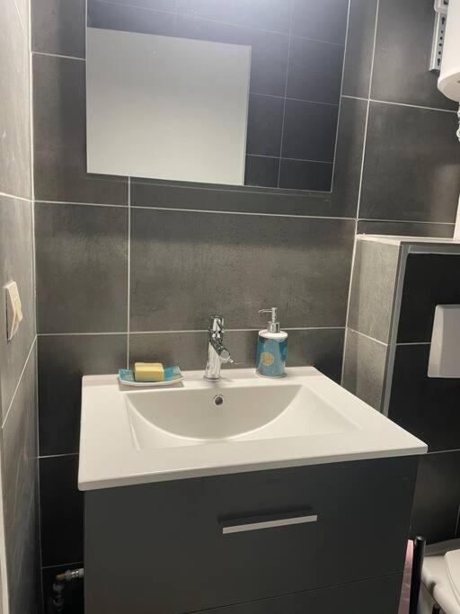 Appartement Duplex T1 アルベールヴィル エクステリア 写真