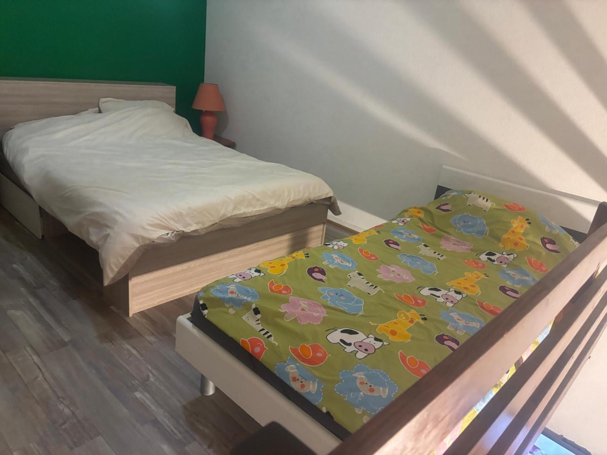 Appartement Duplex T1 アルベールヴィル エクステリア 写真