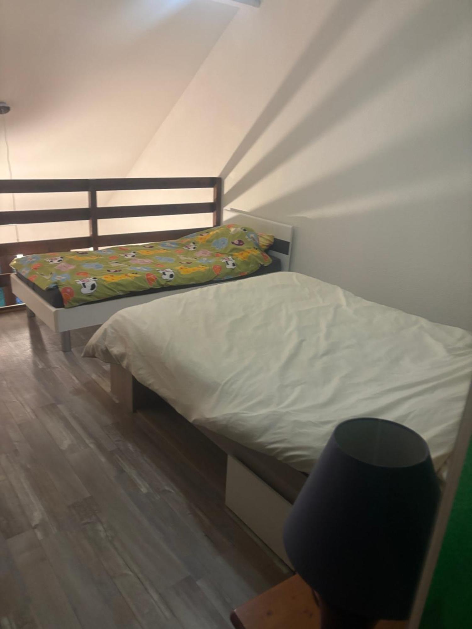 Appartement Duplex T1 アルベールヴィル エクステリア 写真